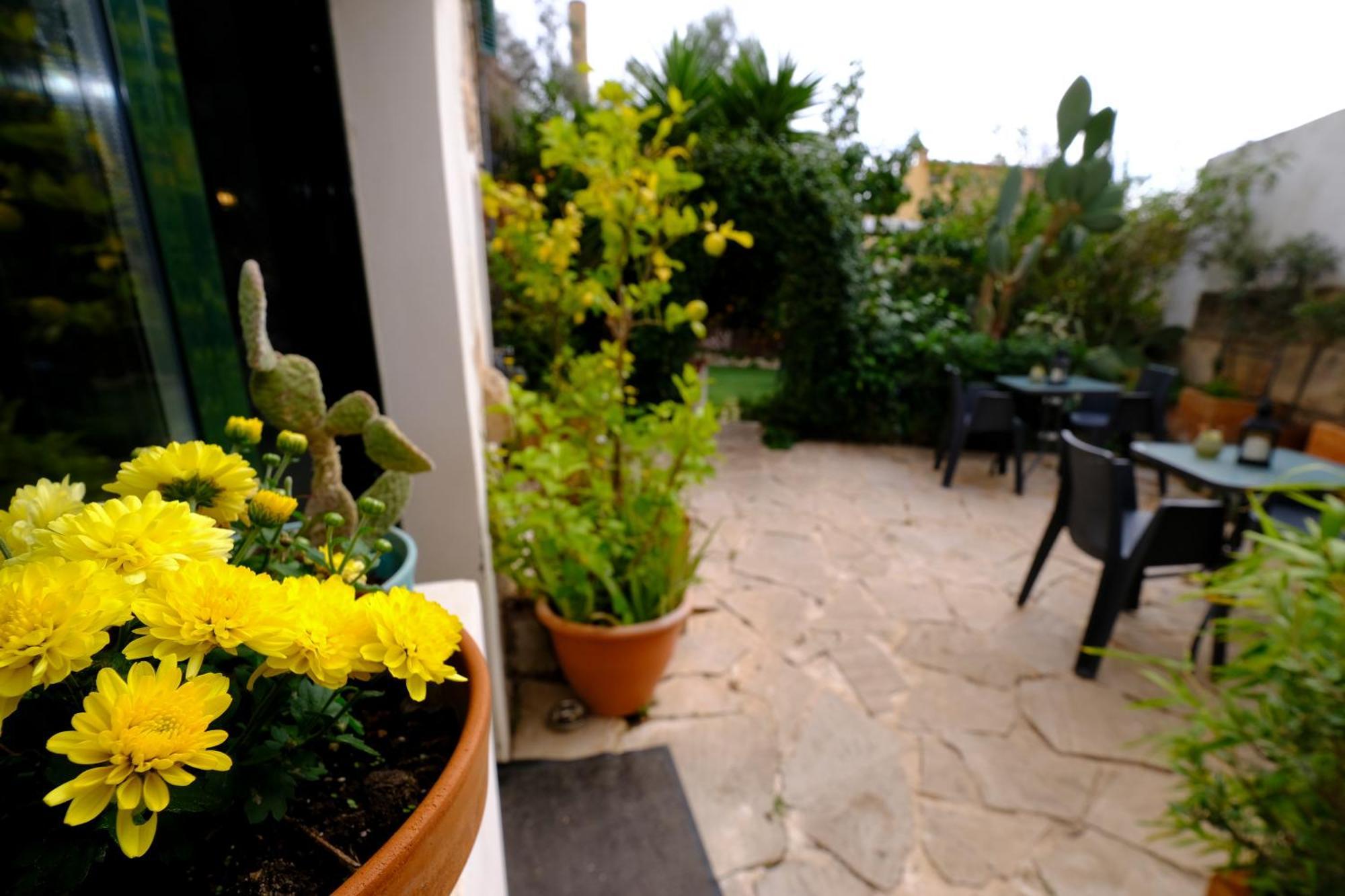 Casa Caimari Guest House, For Mountain Lovers! Esterno foto
